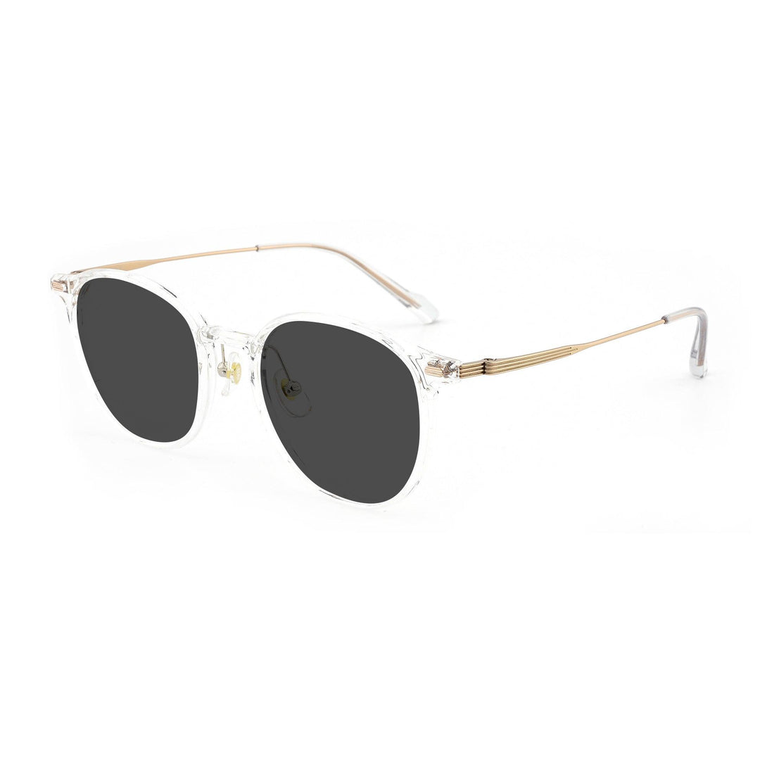 Landen Sunglasses PST22703-C6 | Prime Particle