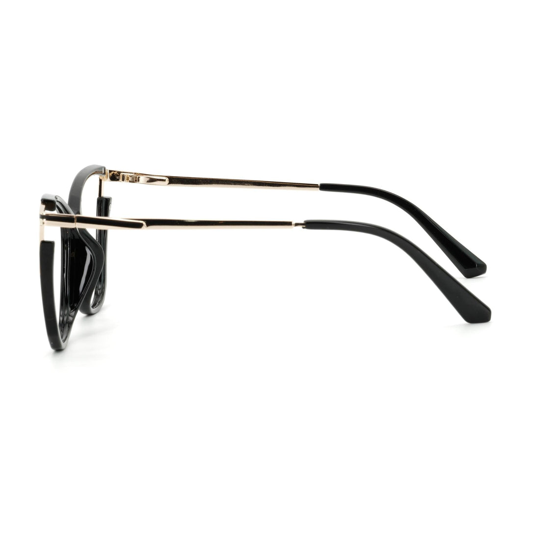 Theodore Eyeglasses PE23D010-C3 | Prime Particle